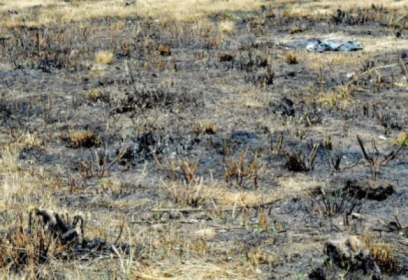 Vizibilitate redusă pe Autostrada Soarelui, din cauza unui incendiu